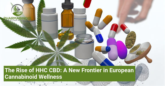 The Rise of HHC CBD: A New Frontier in European Cannabinoid Wellness