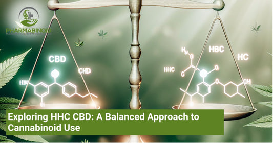 Exploring HHC CBD: A Balanced Approach to Cannabinoid Use