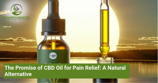 The Promise of CBD Oil for Pain Relief: A Natural Alternative