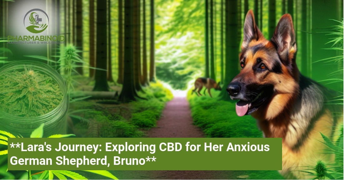 **Lara's Journey: Exploring CBD for Her Anxious German Shepherd, Bruno**