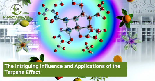 The Intriguing Influence and Applications of the Terpene Effect