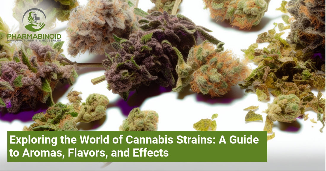 Exploring the World of Cannabis Strains: A Guide to Aromas, Flavors, and Effects