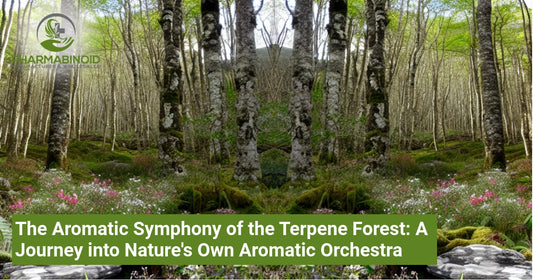 The Aromatic Symphony of the Terpene Forest: A Journey into Nature's Own Aromatic Orchestra