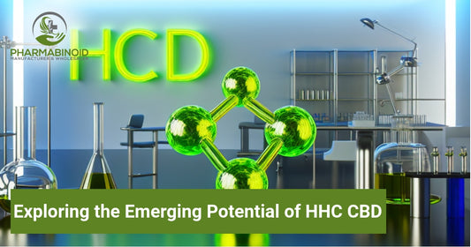 Exploring the Emerging Potential of HHC CBD