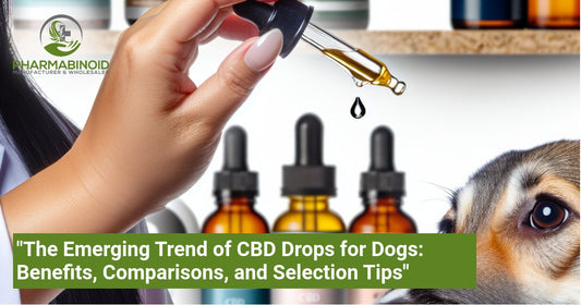 "The Emerging Trend of CBD Drops for Dogs: Benefits, Comparisons, and Selection Tips"