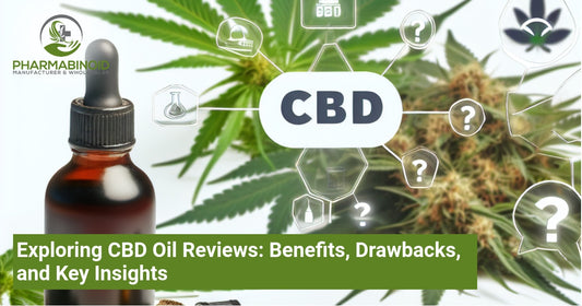 Exploring CBD Oil Reviews: Benefits, Drawbacks, and Key Insights