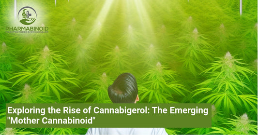 Exploring the Rise of Cannabigerol: The Emerging "Mother Cannabinoid"