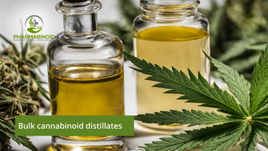 Bulk Cannabinoid Distillates: A Liquid Gold Odyssey