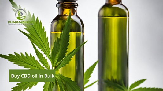 Buy CBD Oil in Bulk: Your Complete Guide