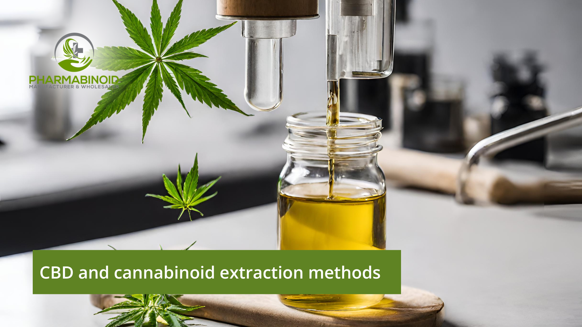 CBD Extraction Demystified: Methods Unveiled