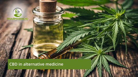 CBD in Alternative Medicine: A Holistic Journey