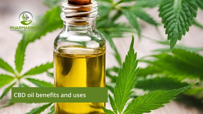 Unlocking Wellness: CBD Oil Benefits and Uses | Pharmabinoid