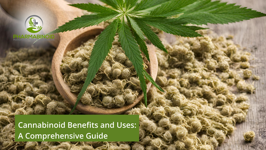 Cannabinoid Benefits and Uses: A Comprehensive Guide