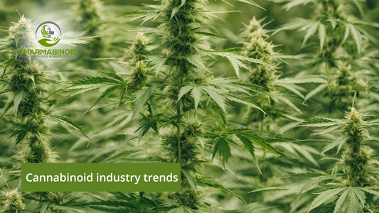 Cannabinoid Industry Trends: Navigating the Green Wave in 2023