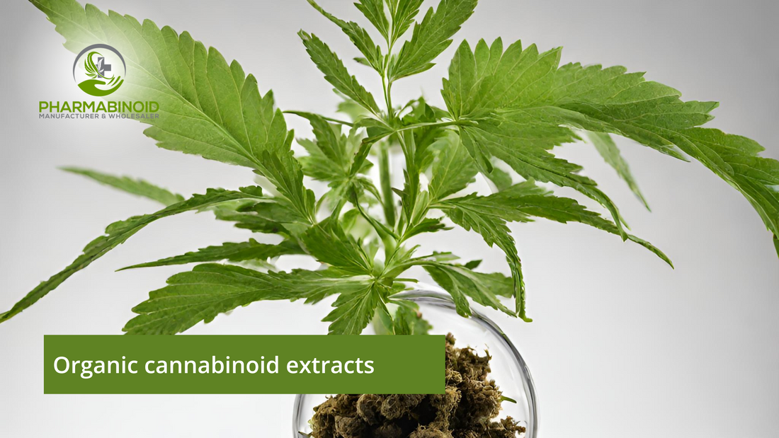 Unlocking the Power of Organic Cannabinoid Extracts