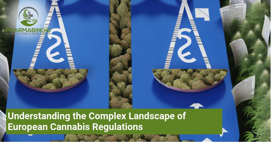 Understanding the Complex Landscape of European Cannabis Regulations