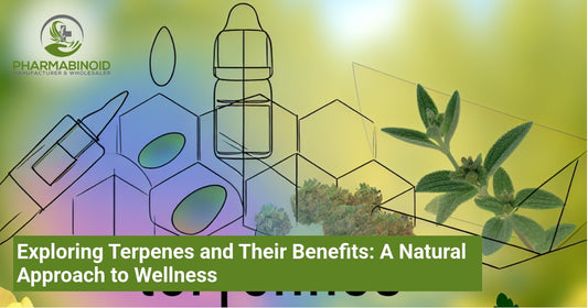 Exploring Terpenes and Their Benefits: A Natural Approach to Wellness