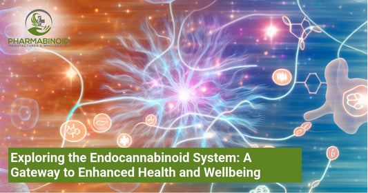 Exploring the Endocannabinoid System: A Gateway to Enhanced Health and Wellbeing