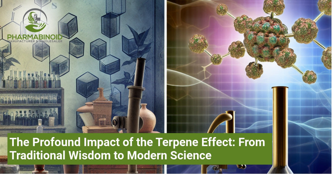 The Profound Impact of the Terpene Effect: From Traditional Wisdom to Modern Science