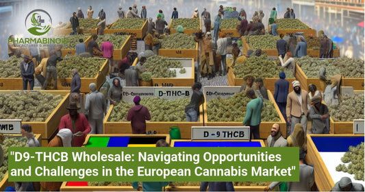 "D9-THCB Wholesale: Navigating Opportunities and Challenges in the European Cannabis Market"