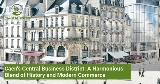 Caen's Central Business District: A Harmonious Blend of History and Modern Commerce