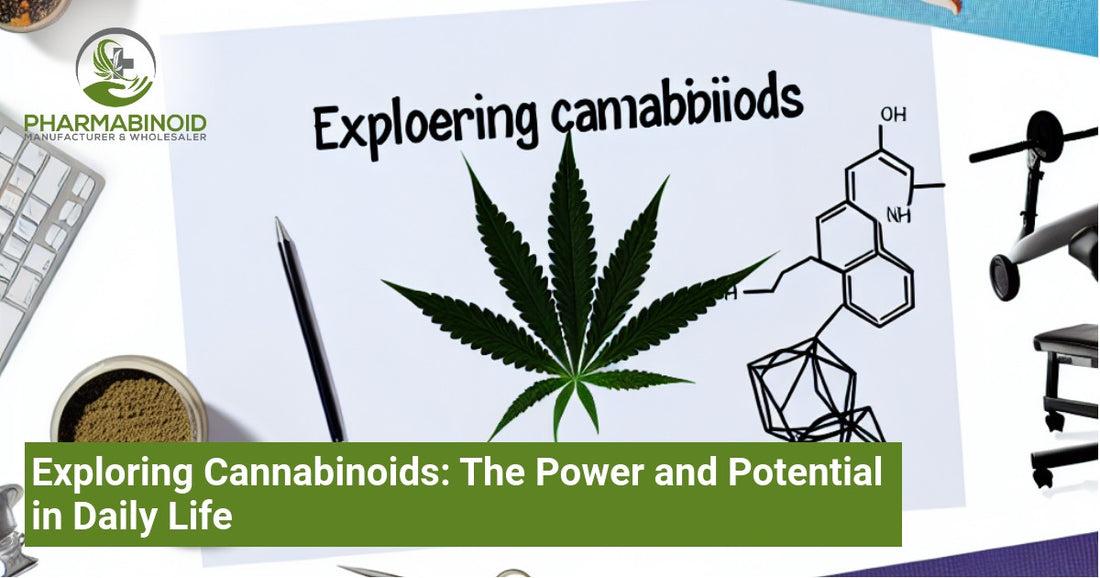 Exploring Cannabinoids: The Power and Potential in Daily Life