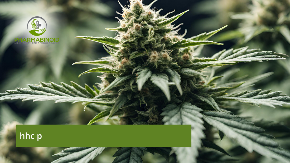 HHC P: Exploring the Next Big Cannabinoid